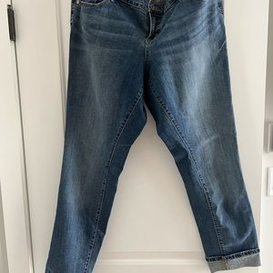 Torrid Boyfriend Jean 14